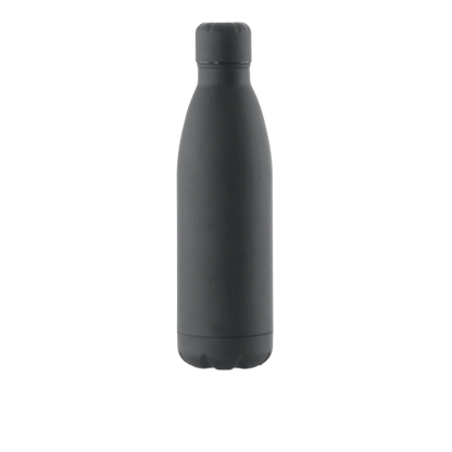 Botella inox termo