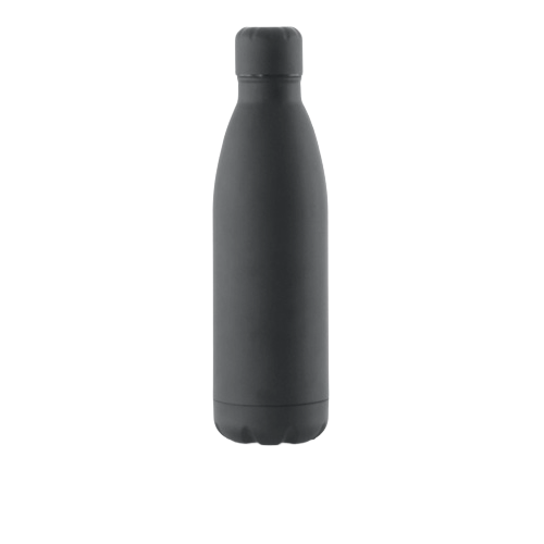 Botella inox termo